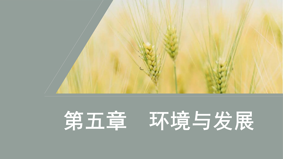 17417491第1页