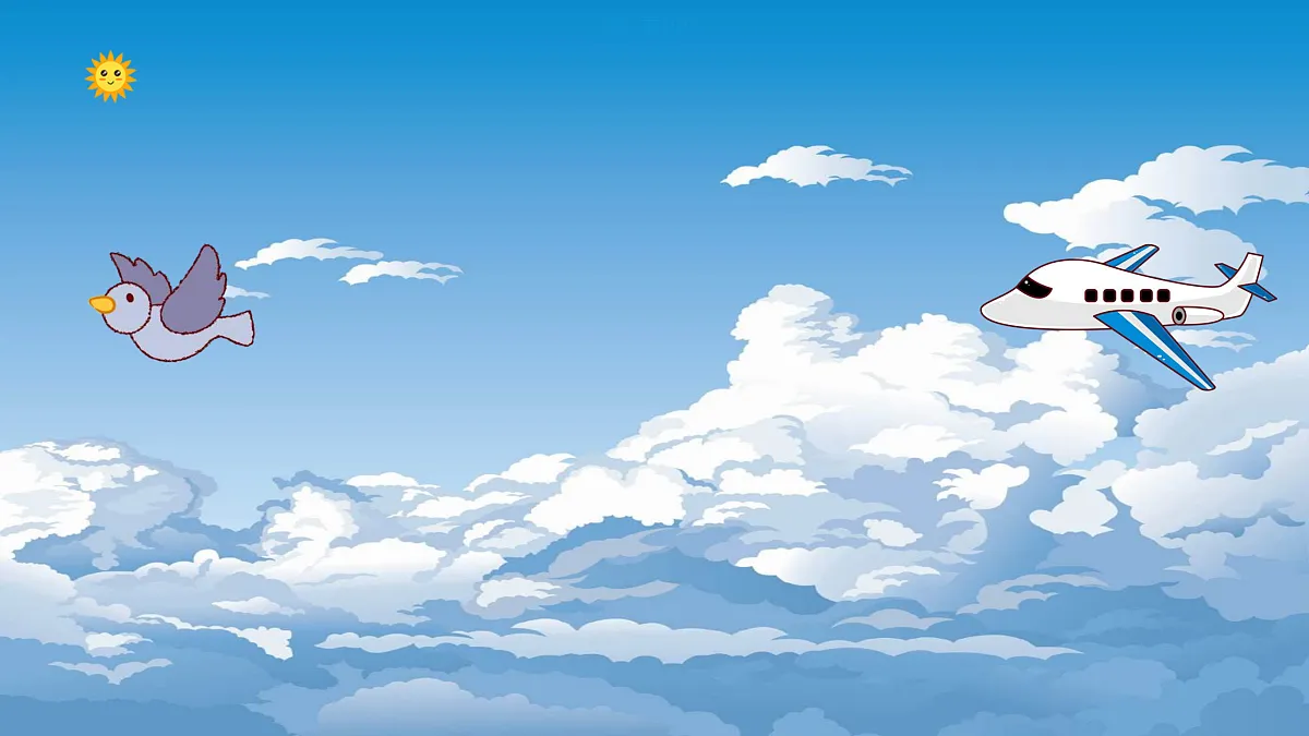 17417497第3页