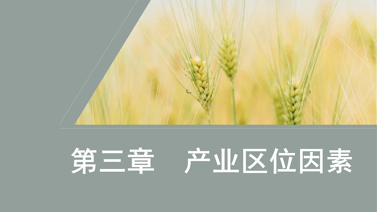 17417543第1页