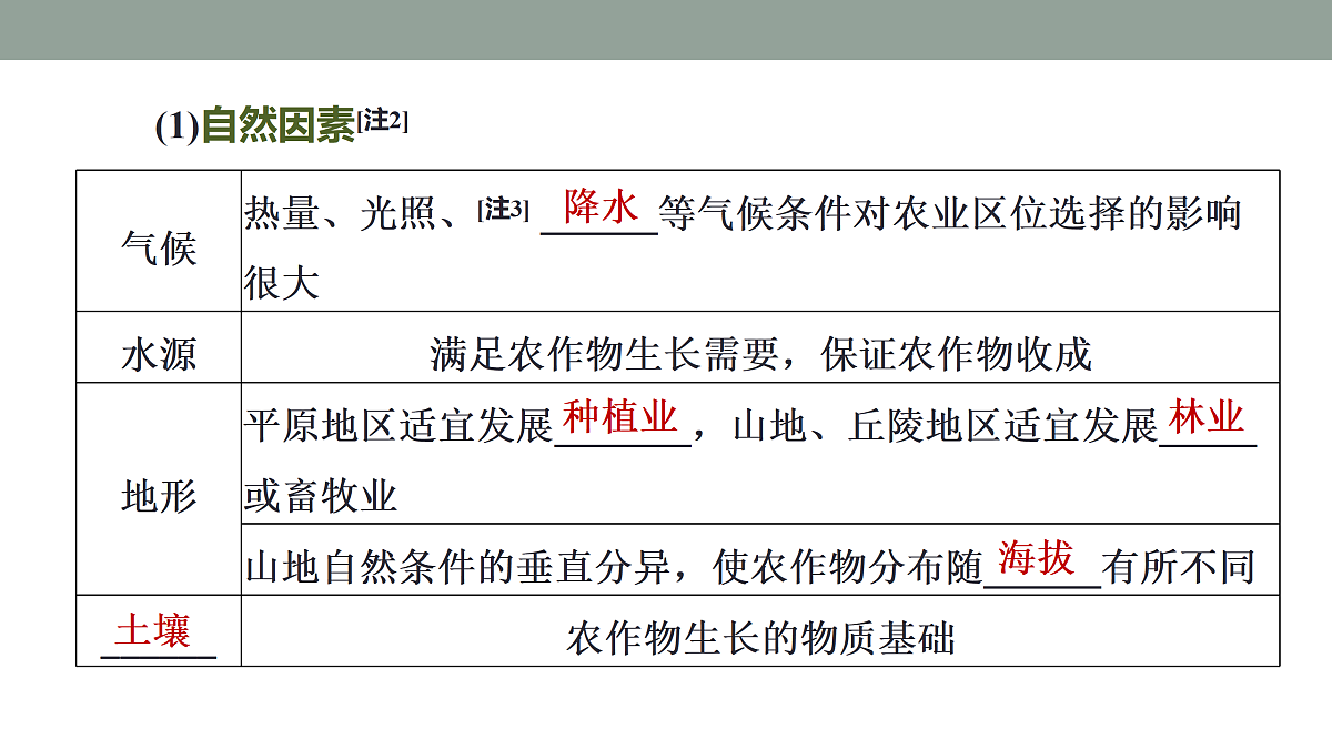 17417543第7页