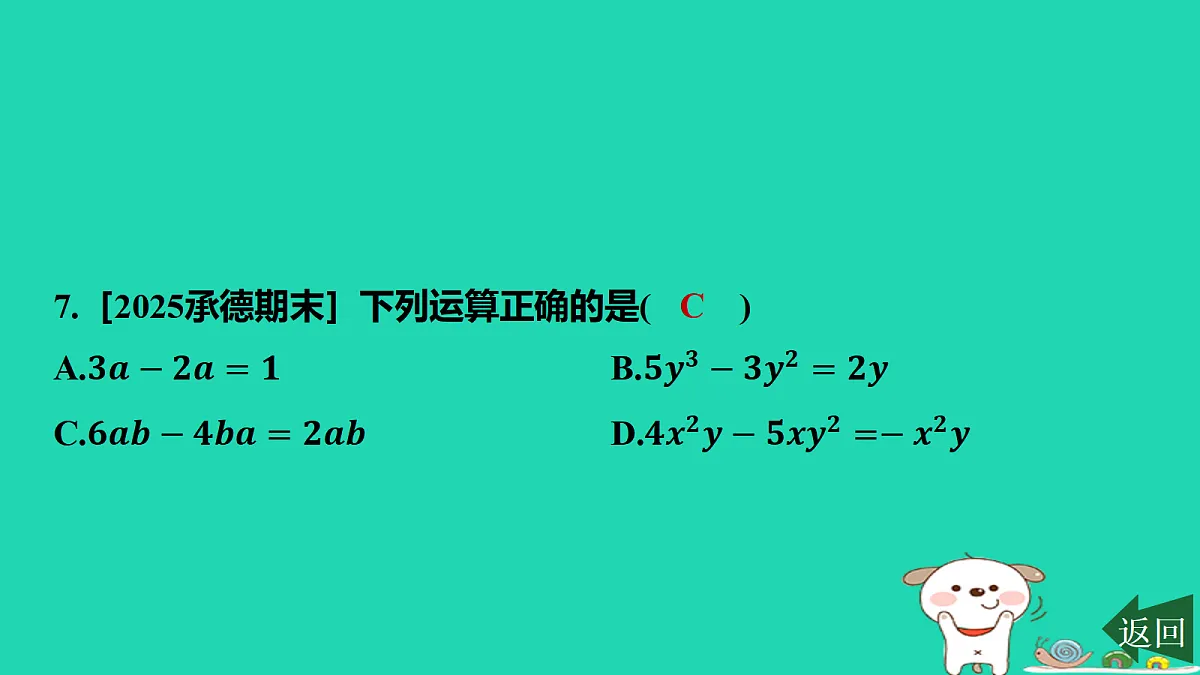 17417683第8页