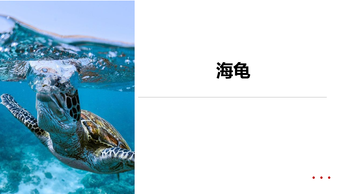 17417718第1页