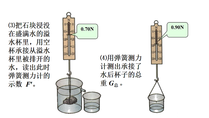 17419050第8页