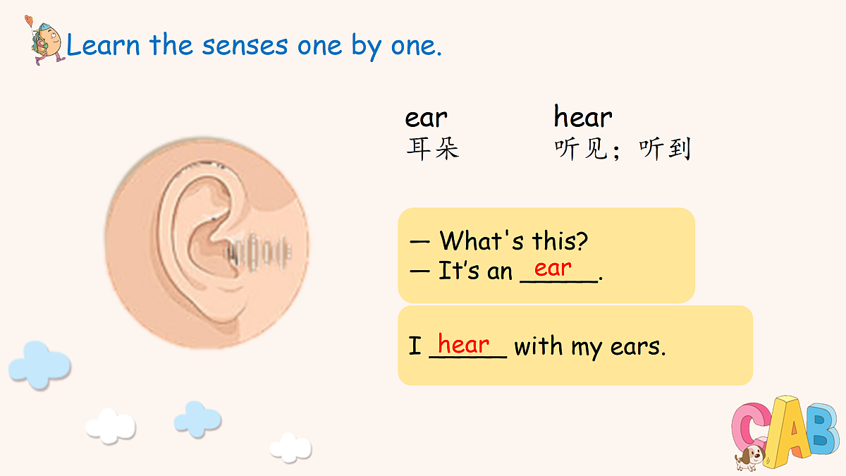 17419128第8页