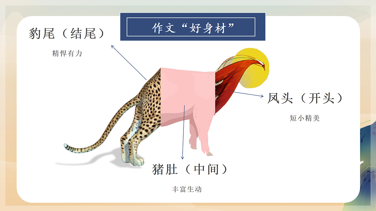 17419907第3页