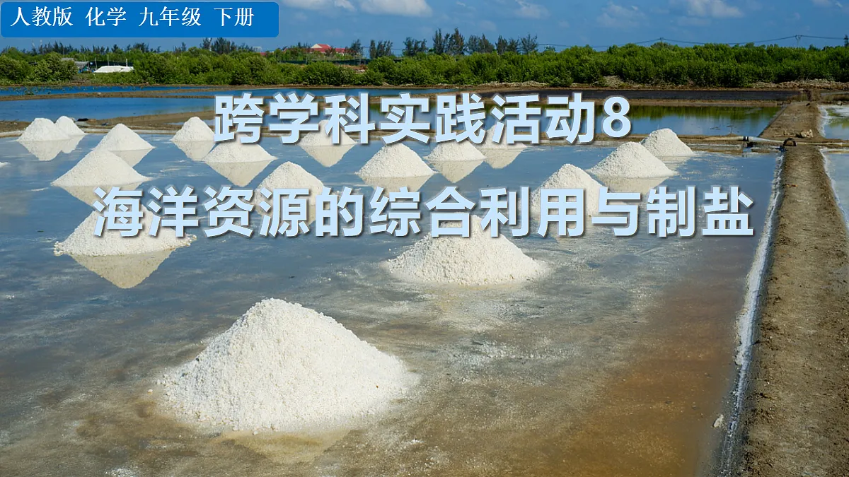 17421167第1页