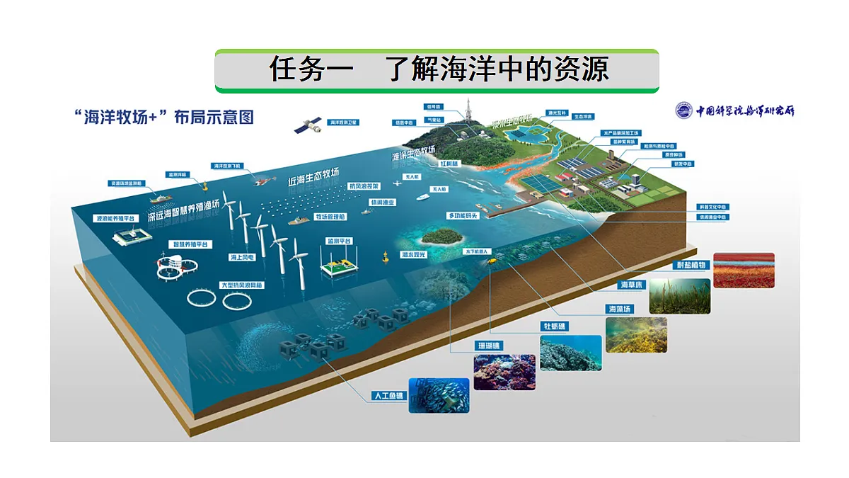 17421167第3页