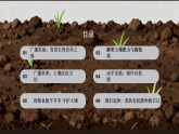 苏教版（2024）科学三年级上册1.3肥沃的土壤课件