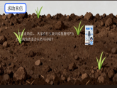 苏教版（2024）科学三年级上册1.3肥沃的土壤课件
