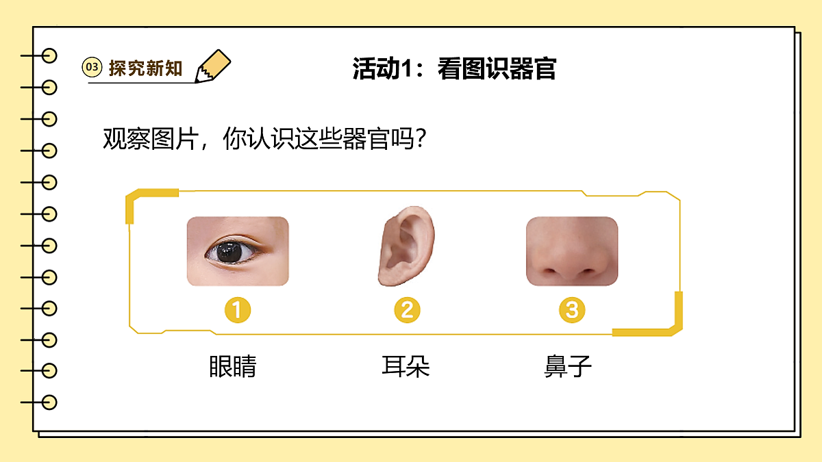 17422713第6页