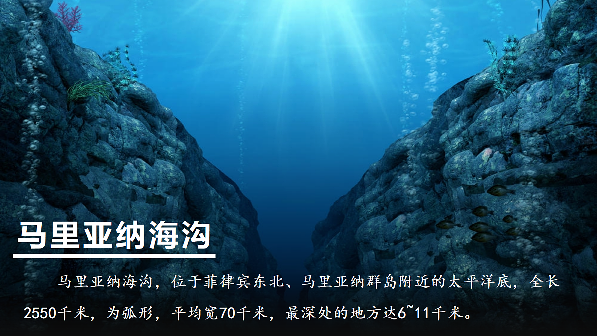 17423015第7页