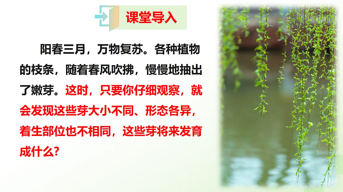 17423022第2页