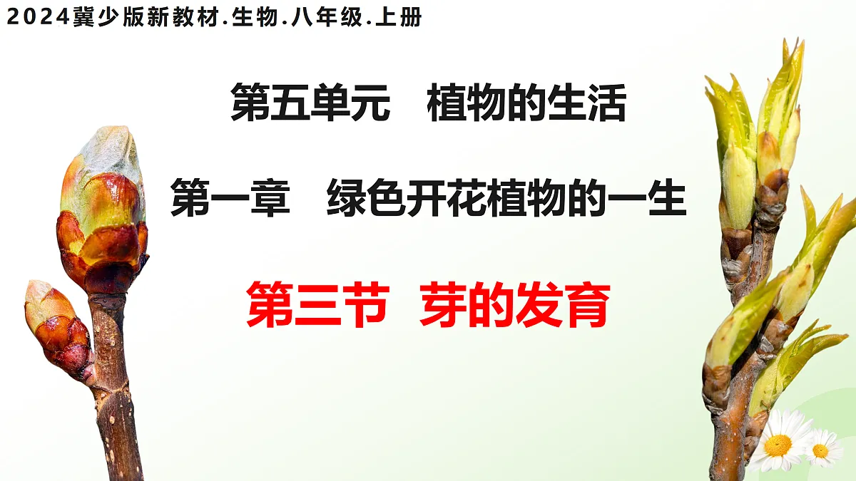 17423022第3页