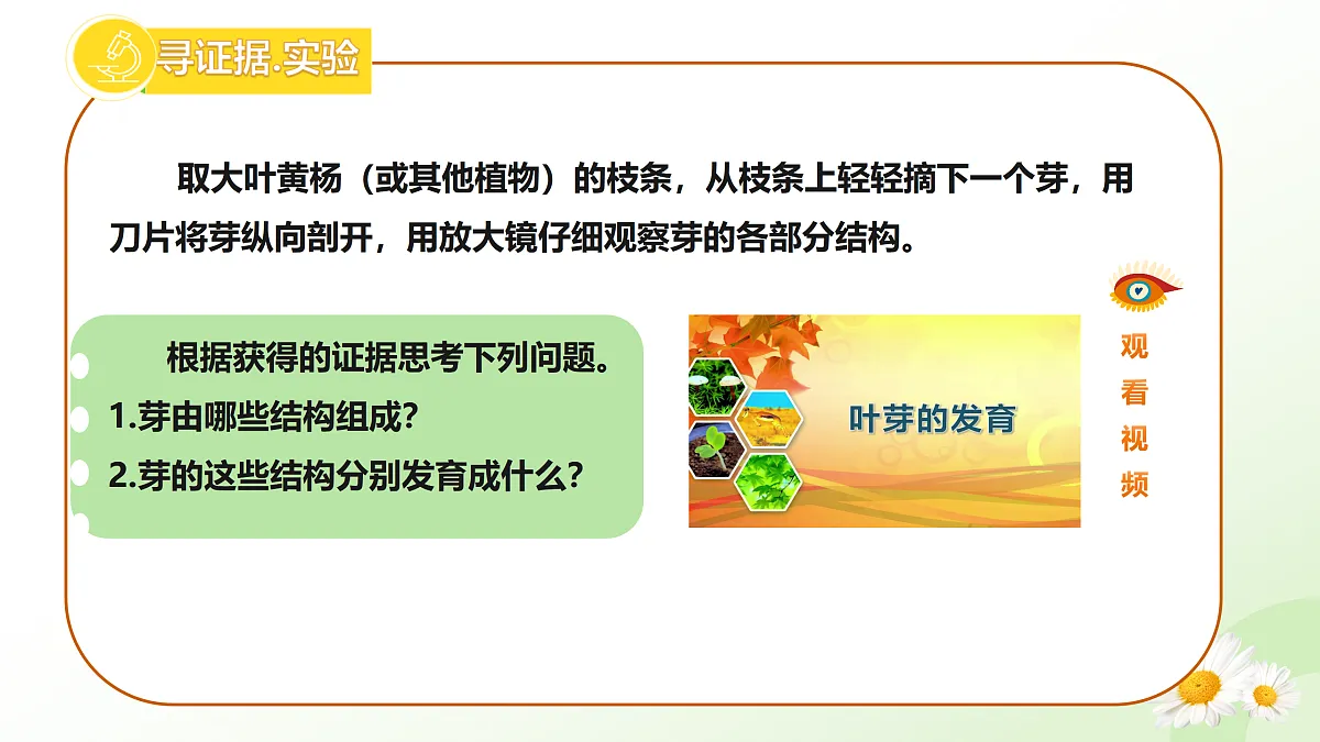 17423022第6页