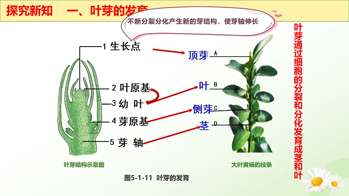 17423022第7页