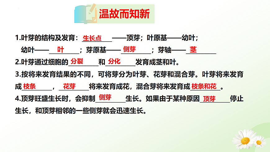 17423023第1页