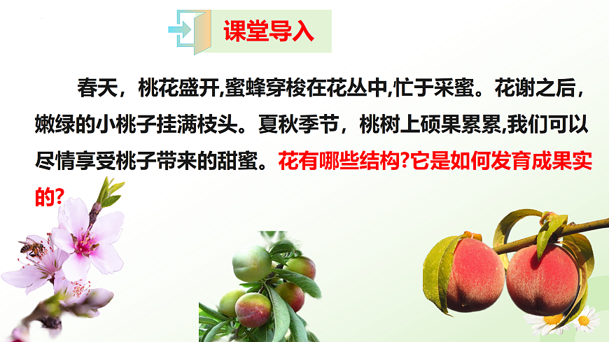 17423023第2页