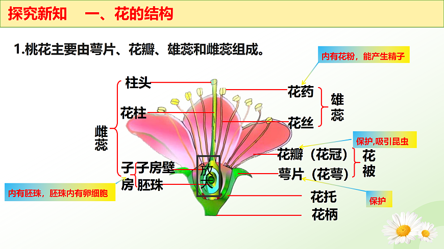 17423023第8页