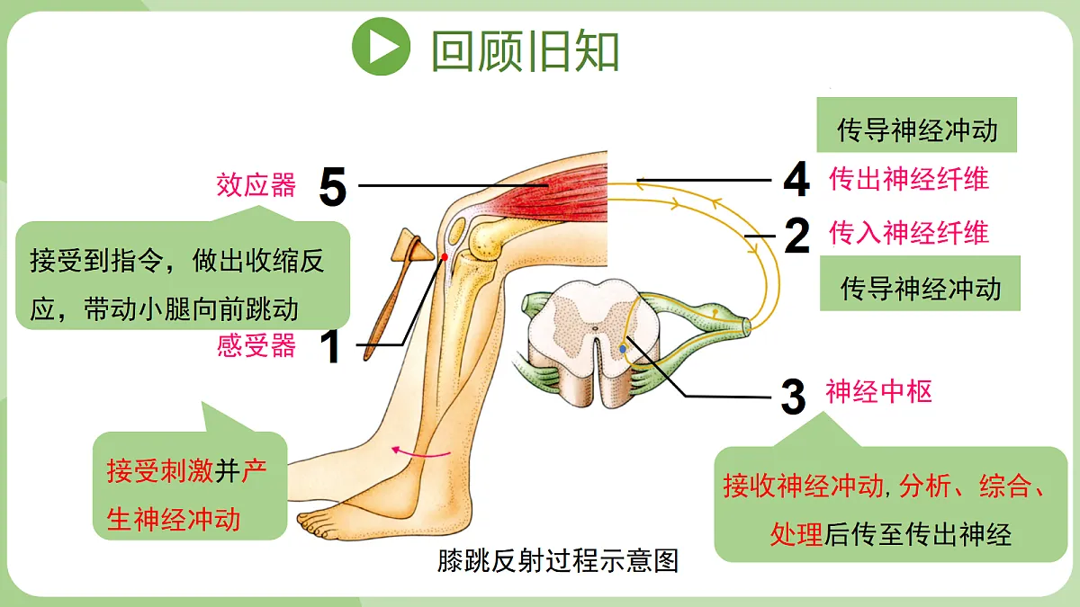 17423024第2页