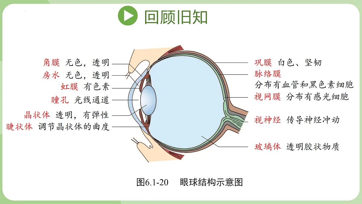 17423026第2页