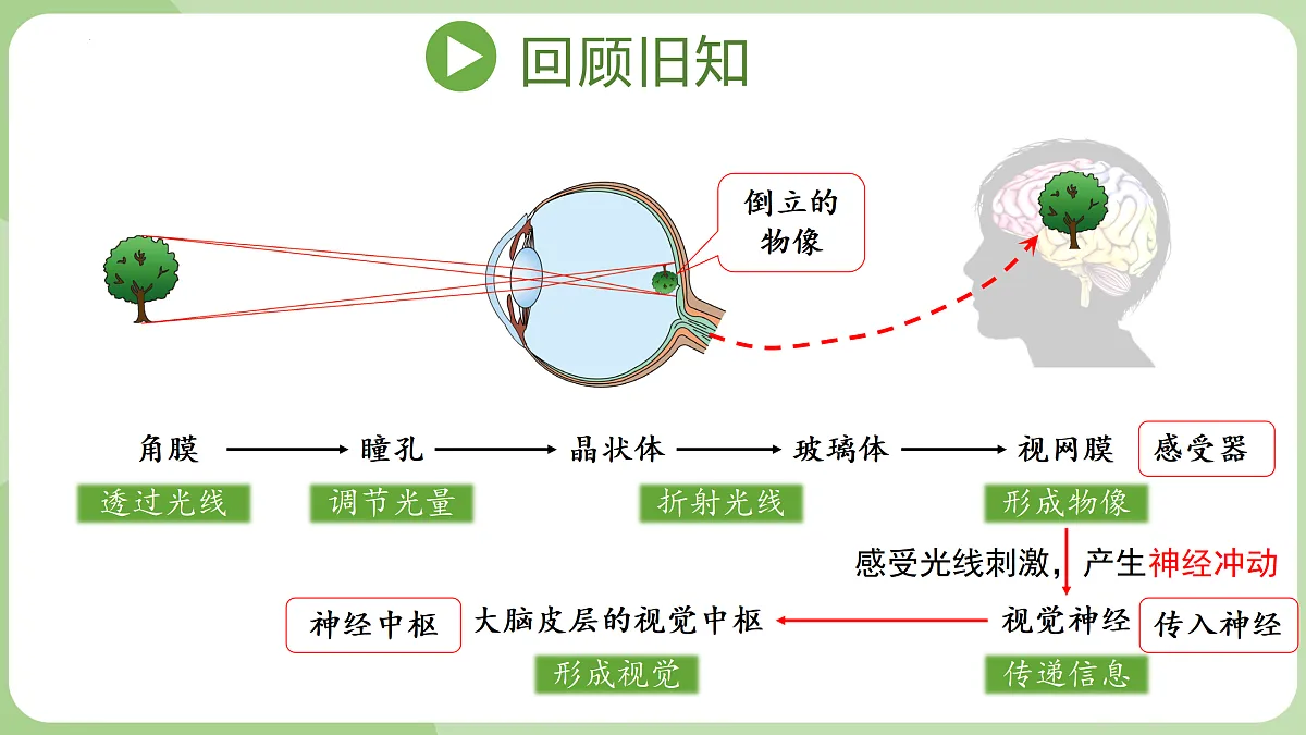 17423026第3页