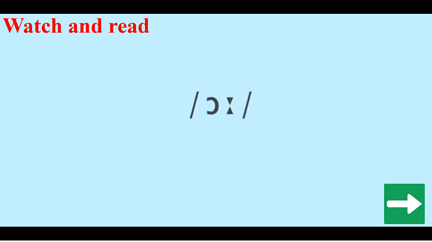 17423303第4页