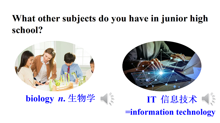 17423305第3页