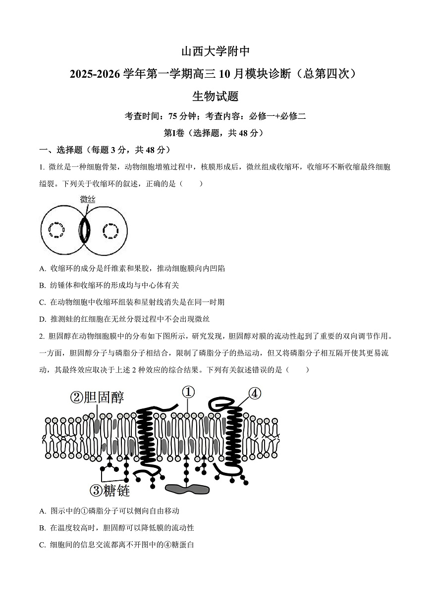 山西省太原市山西大学附属中学2025-2026学年高三上学期10月考试生物试题  Word版无答案第1页