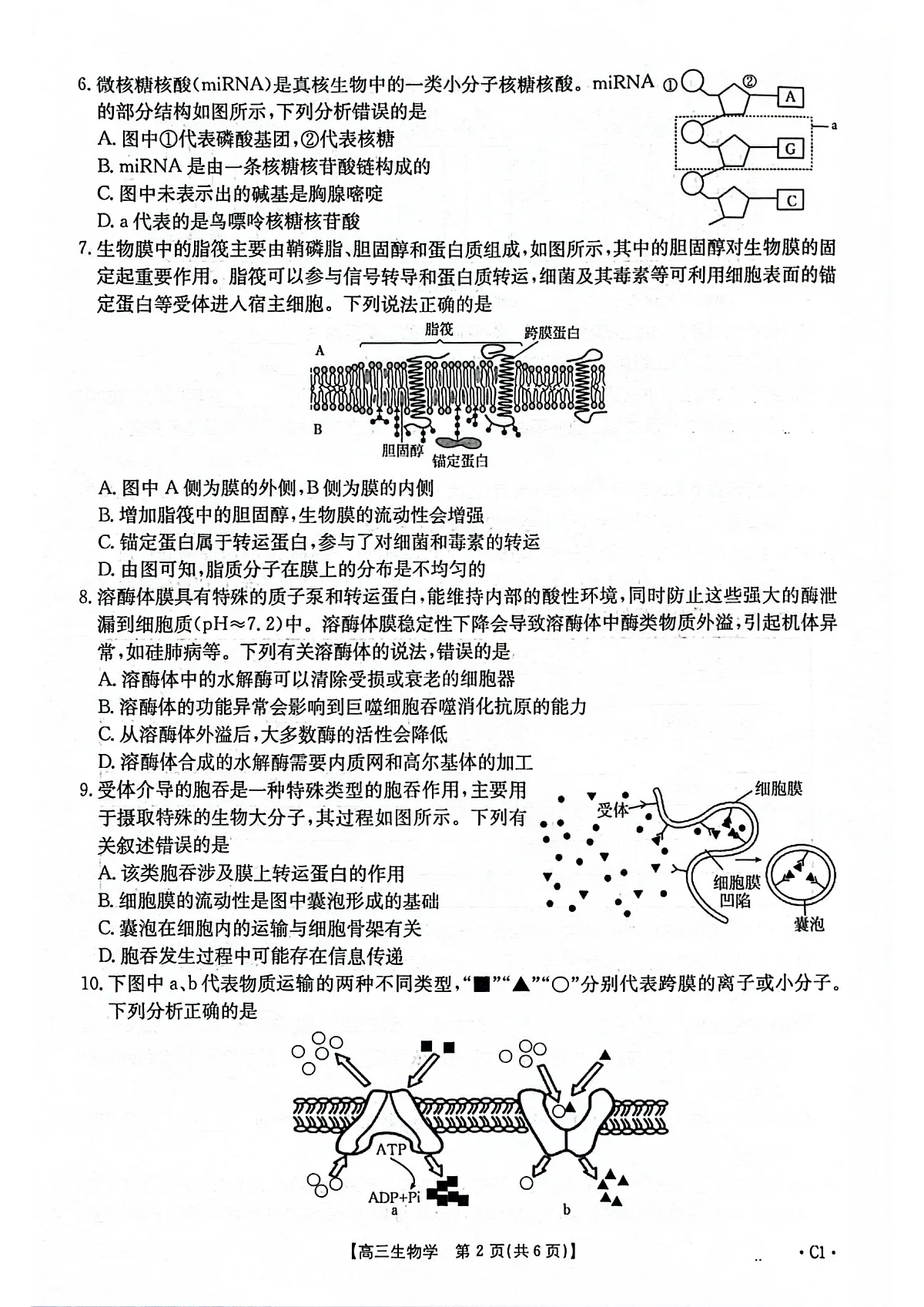 2025-2026年度上学期河南省高三年级第二次联考（26-37C）生物第2页