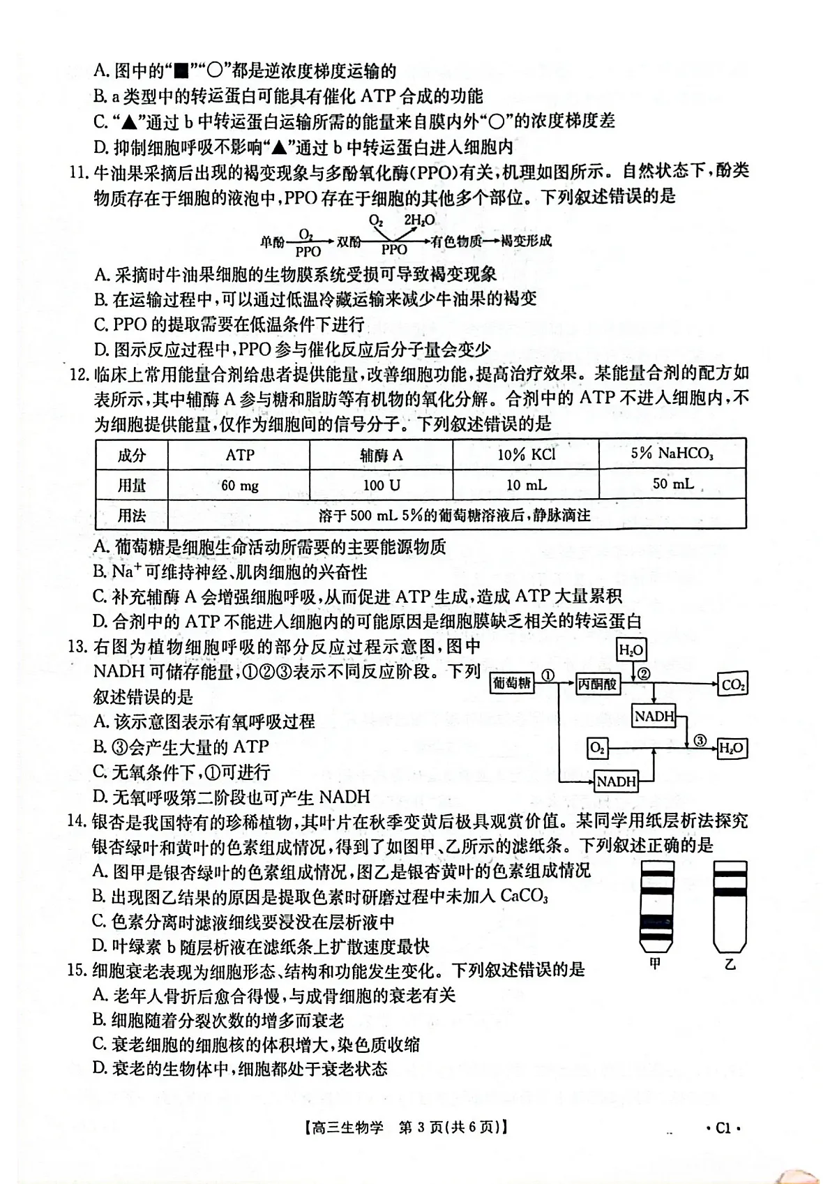 2025-2026年度上学期河南省高三年级第二次联考（26-37C）生物第3页