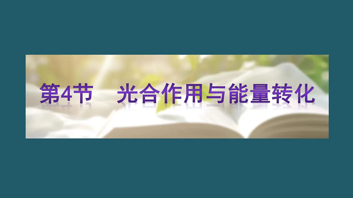 17424527第1页