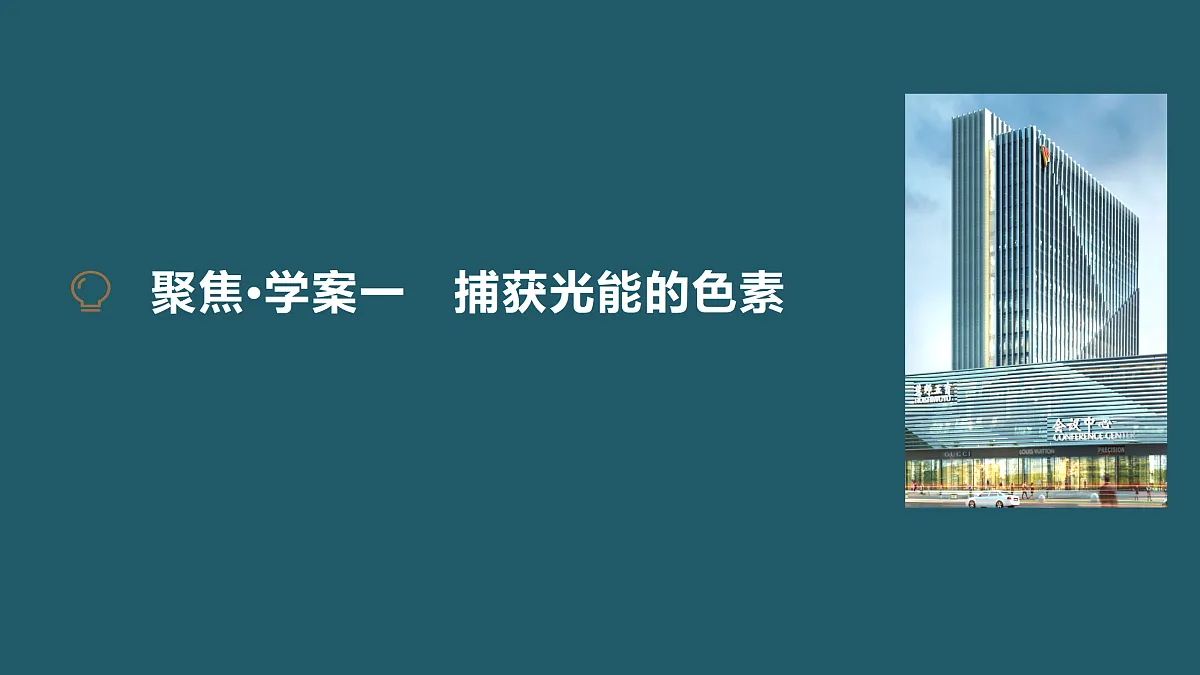 17424527第5页