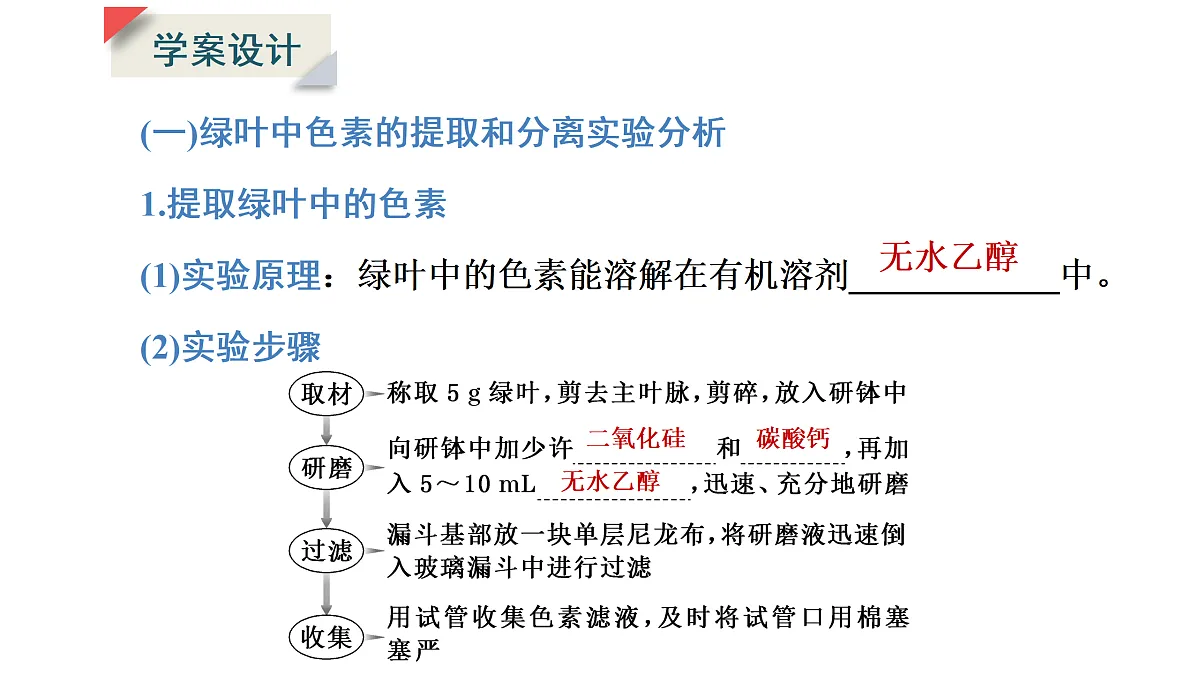 17424527第6页