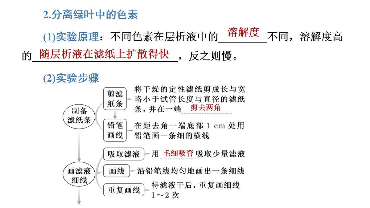 17424527第7页