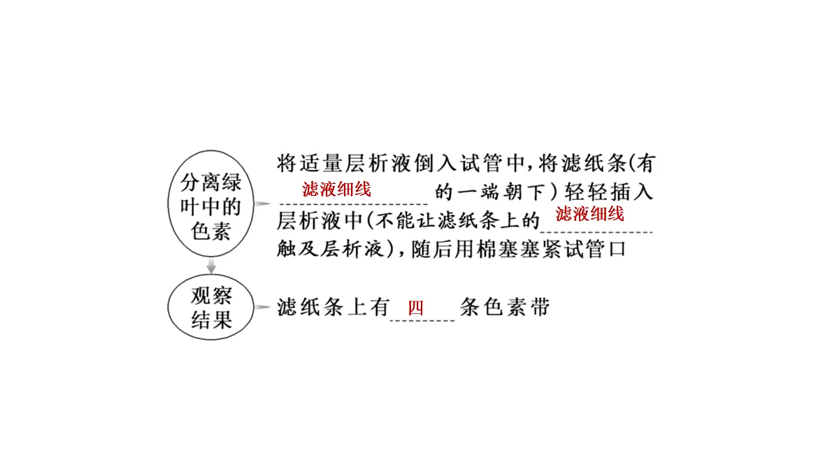 17424527第8页