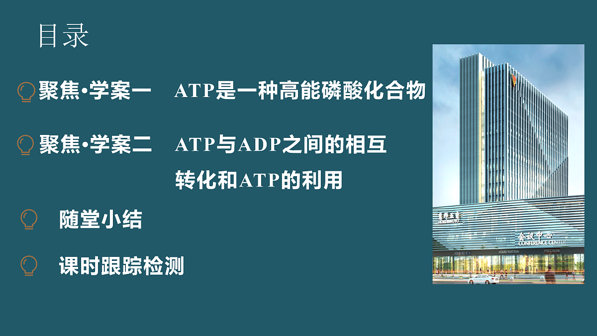 17424528第3页