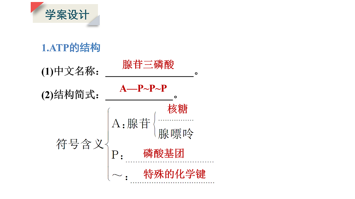 17424528第5页