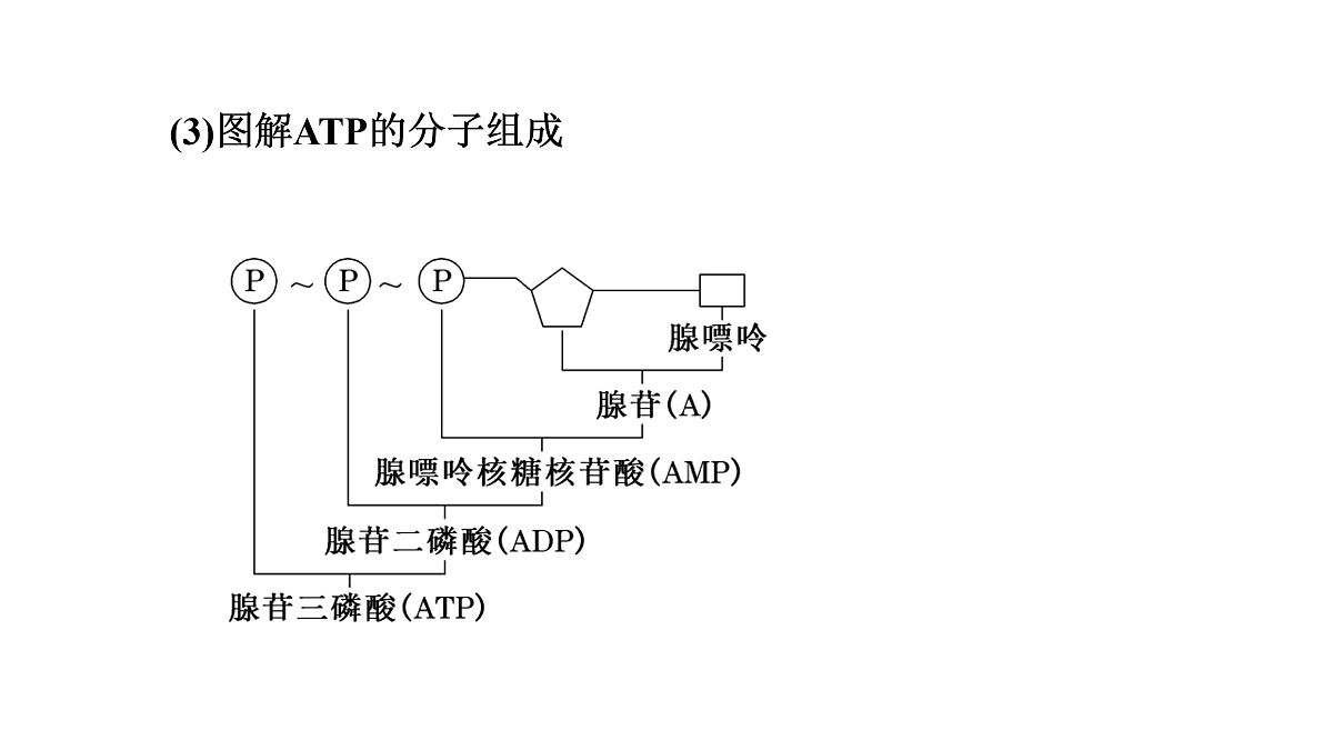 17424528第6页
