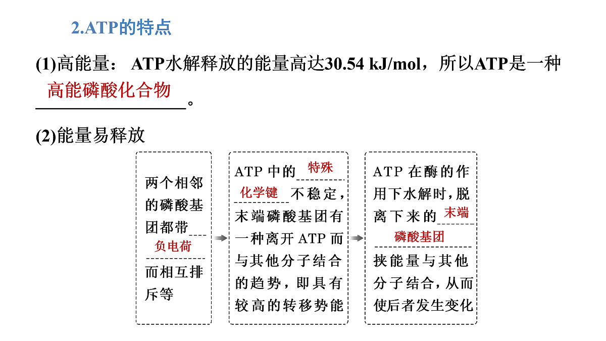 17424528第7页