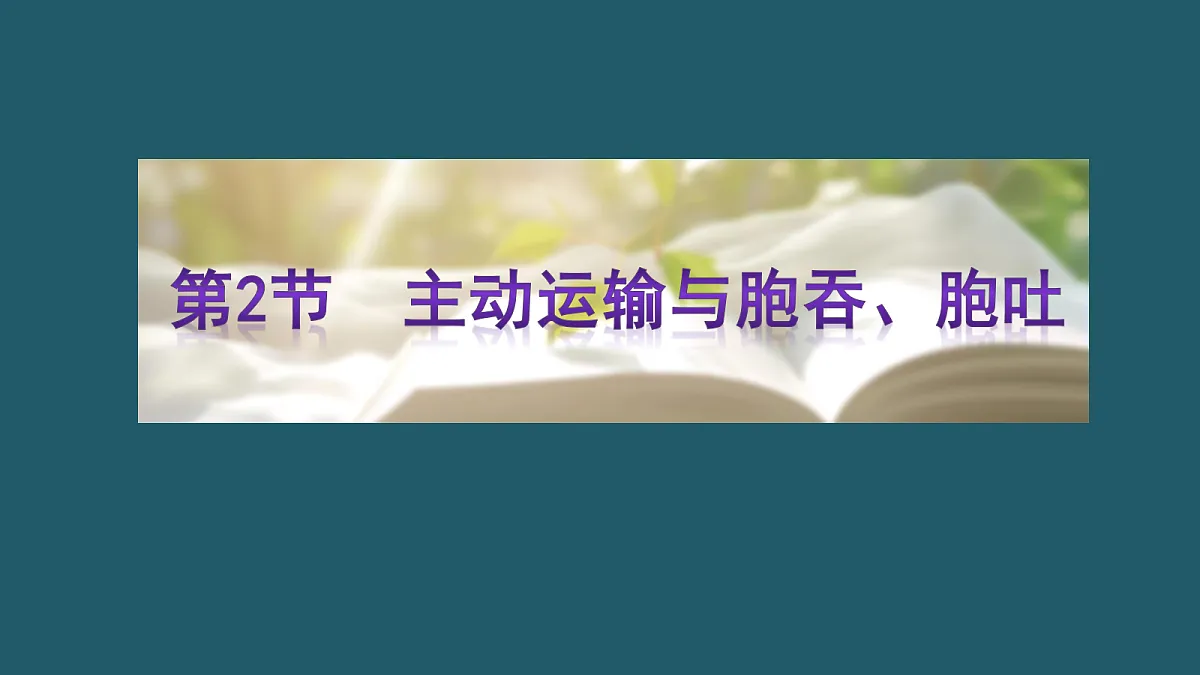 17424532第1页