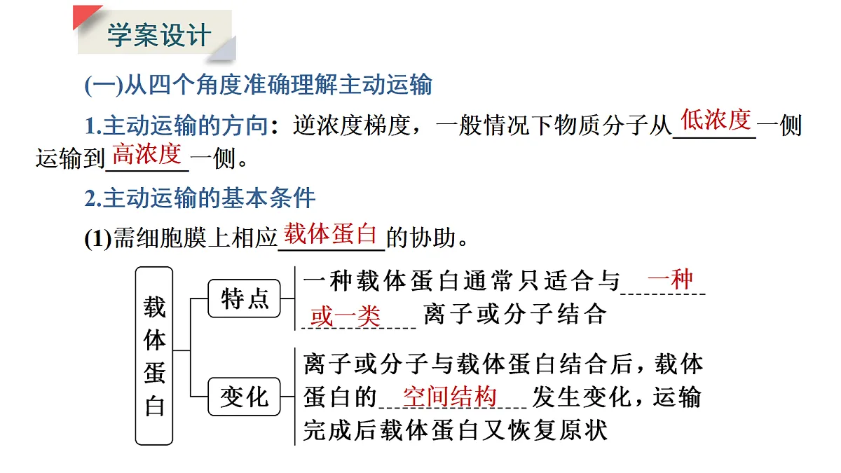 17424532第5页