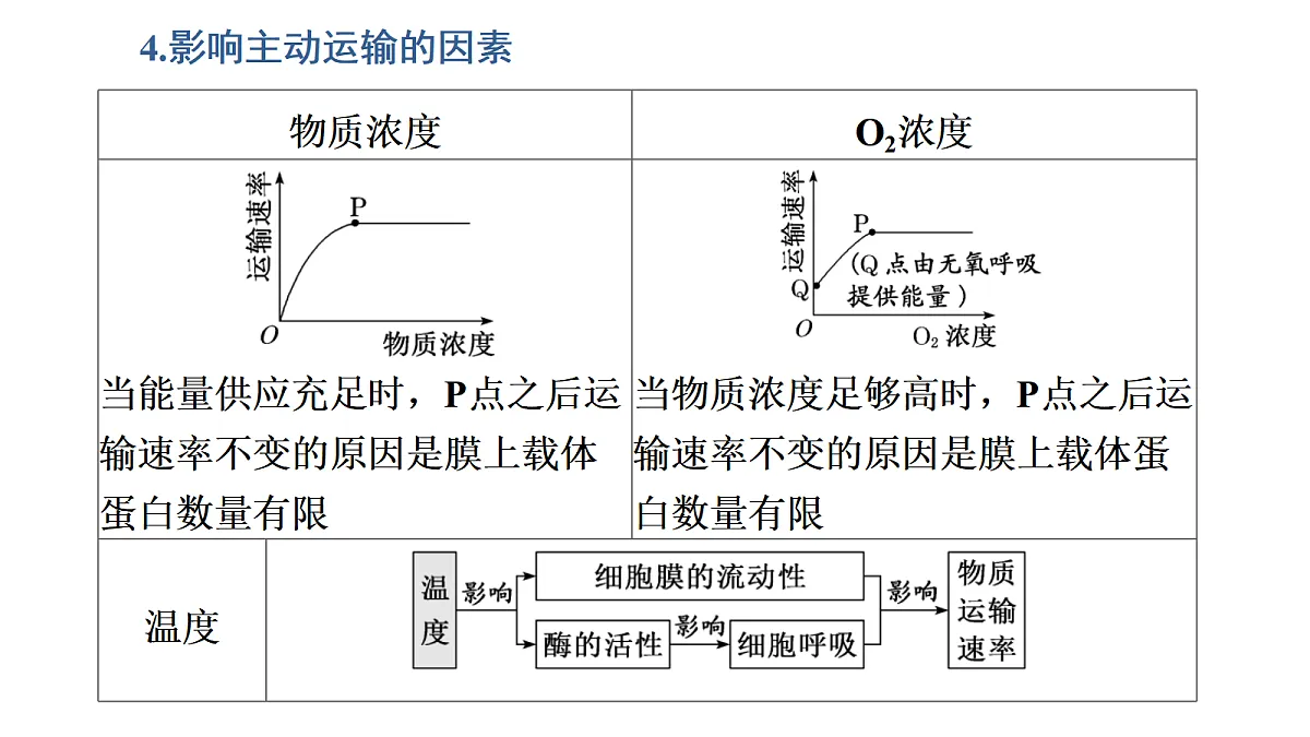 17424532第7页
