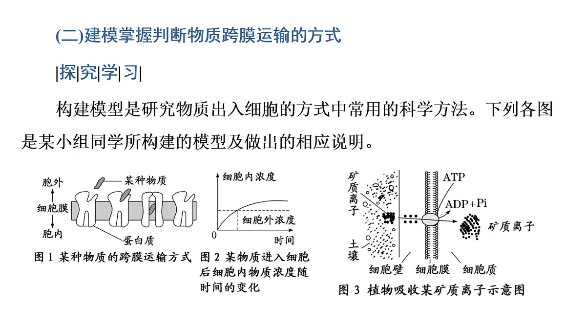 17424532第8页