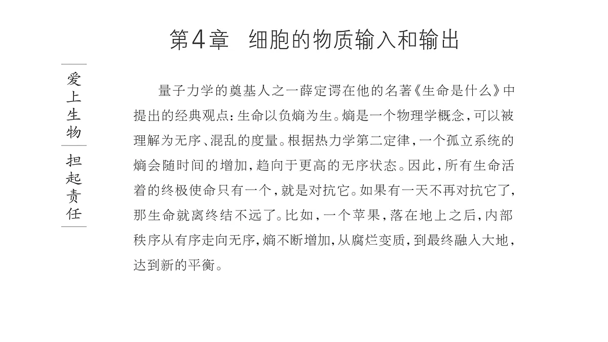 17424533第1页