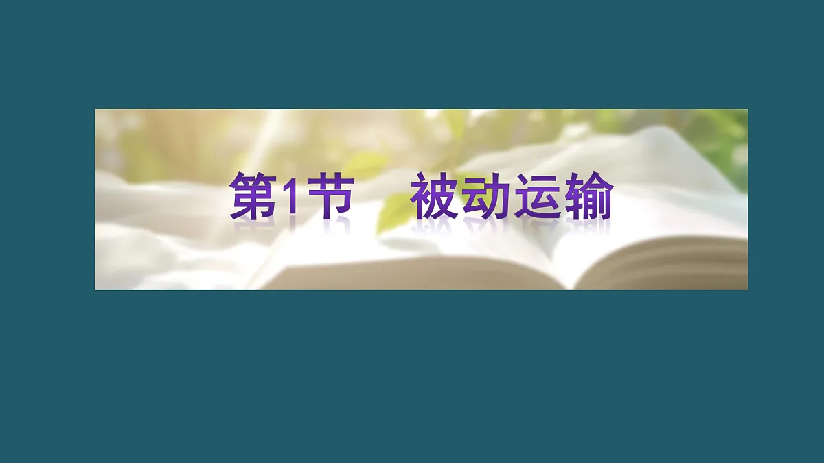 17424533第3页