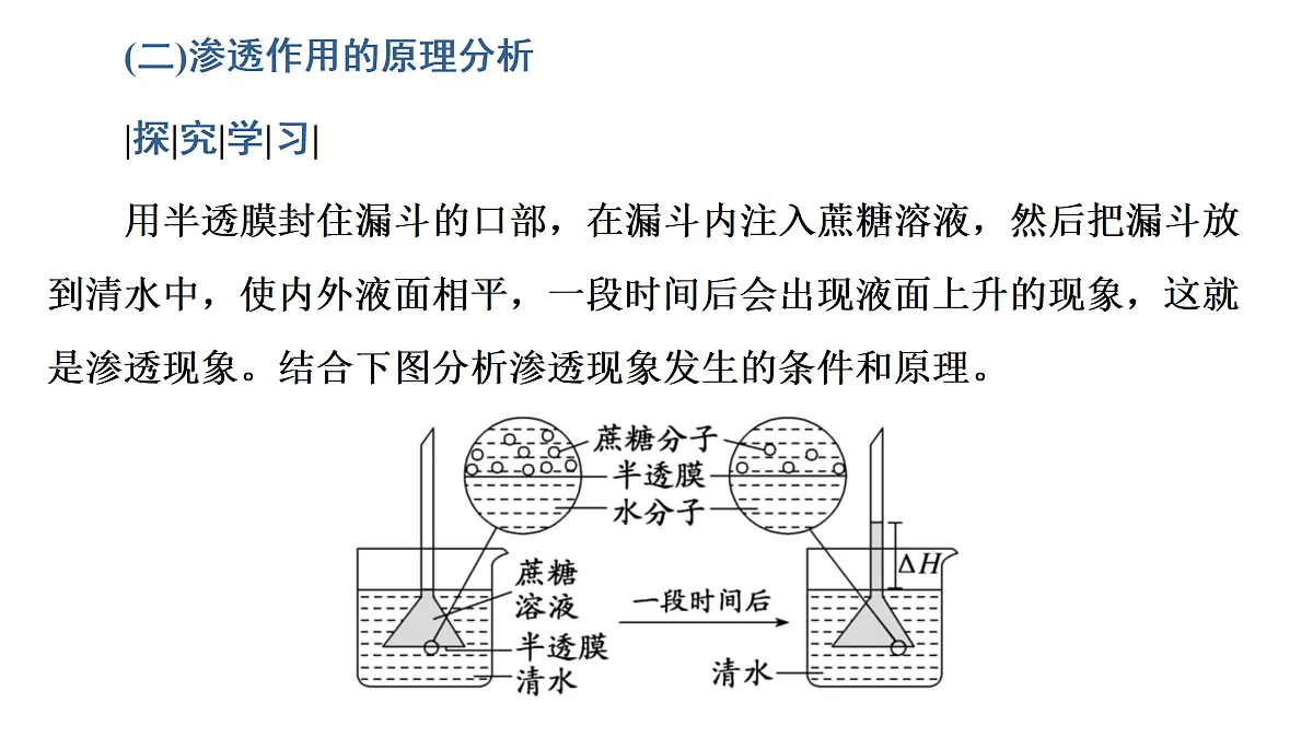17424533第8页