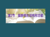 高一生物（人教版）必修一课件第3章第3节细胞核的结构和功能