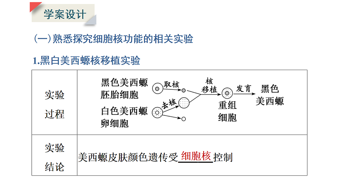 17424535第5页