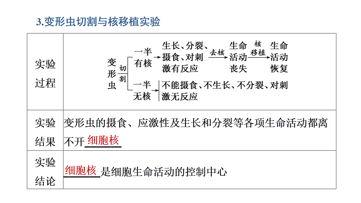 17424535第7页
