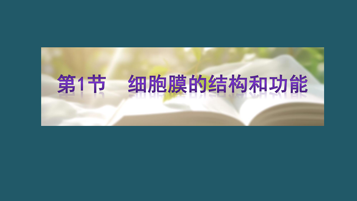 17424536第2页